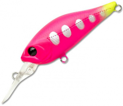 Pontoon21 Cheerful 40F-MR