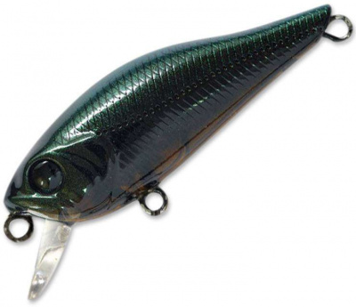 Pontoon21 Cheerful 60F-SR