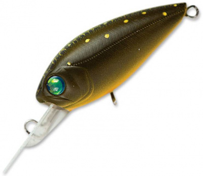 Pontoon21 Mojarilla 40F-MR