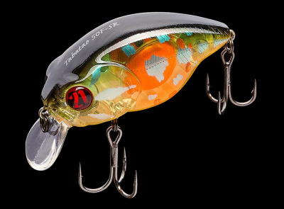 Pontoon21_TabaTao_50F-SR