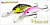 Panacea Shad Marauder 80F-DR