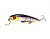 Pontoon21_Dexter_Minnow_93SP-SR