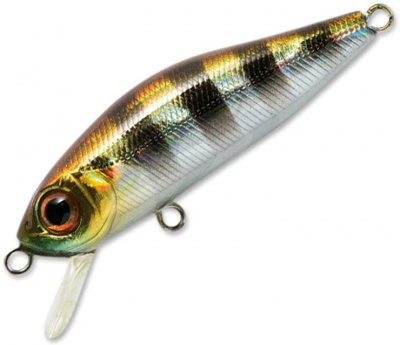 Pontoon21 Crack Jack 78F-SR