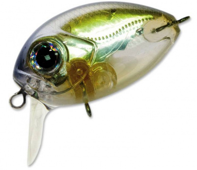 Pontoon21 Red Rag 36F-SSR