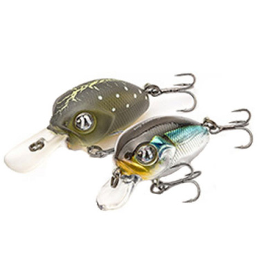 Pontoon21_Baby_Red_Rag_32F-SR