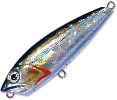 Pontoon21 Beat Bull 55TW