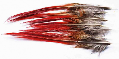 4Trouts Красноверхие перья с хвоста золотого фазана