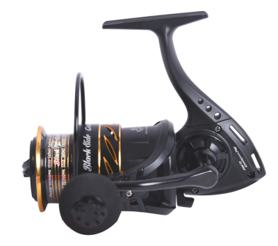 Black_Side_Guardian_Pro