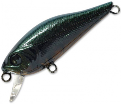 Pontoon21 Cheerful 40F-SR