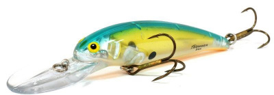 Bomber Deep Long A B24A (CHLO)