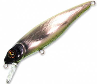 Pontoon21 GreedyGuts 44SP-SR