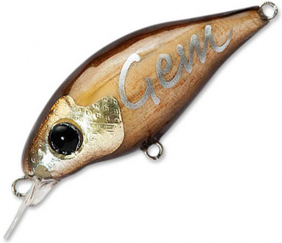 Pontoon21 Gem 34F-SR