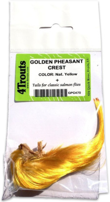 4Trouts_Хохолок_золотого_фазана