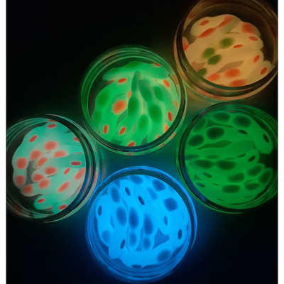 Nyaski.Club - Горох светонакопитель