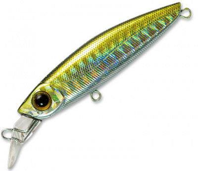 Pontoon21 GagaGoon 60S-SR