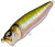 Megabass Pop Max