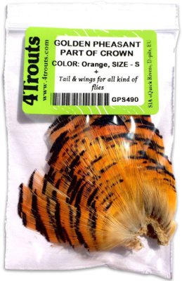 4Trouts_Корона_шея_золотого_фазана