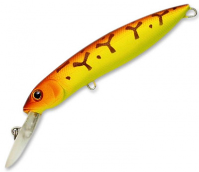 Pontoon21 Moby Dick 120F-DR